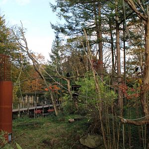 Lion-tailed macaque enclosure