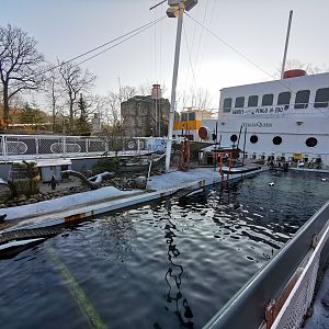 Penguin enclosure - Yukon Bay