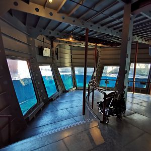 Underwater viewing for polar bears - Yukon bay