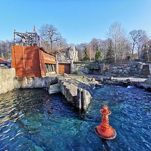 Polar bear enclosure - Yukon bay