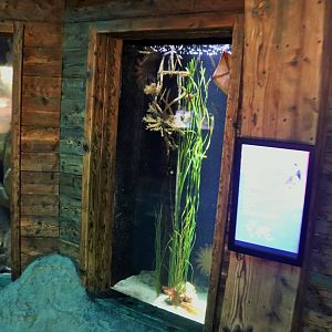 South Coast Shipwreck- Tank Example