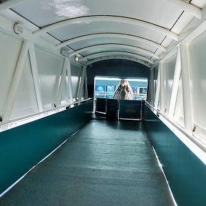 Pathway to Dugong Island