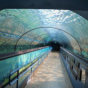 Dugong Island Tunnel