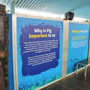 Dugong Signage