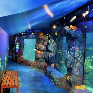 Day and Night on the Reef Exhibit