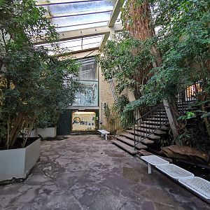 Inside the Lemur house