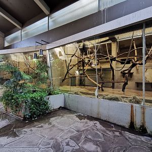 Primate indoors - Lemur house