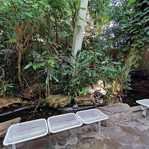 Turtle area and seating - Lemur house