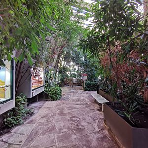 Inside the Lemur house