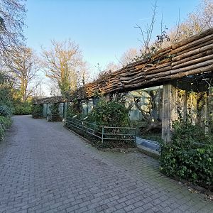 Outdoor exhibits for primates - Lemur house