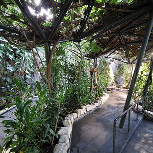 Primate house in Afi Mountain