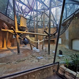 Drill indoors - Afi mountain