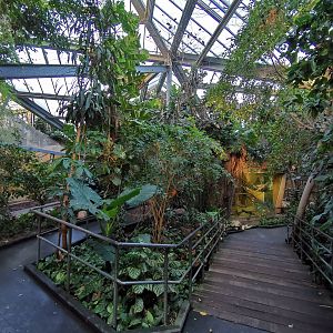 Primate house in Afi Mountain