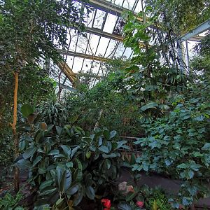 Primate house in Afi Mountain