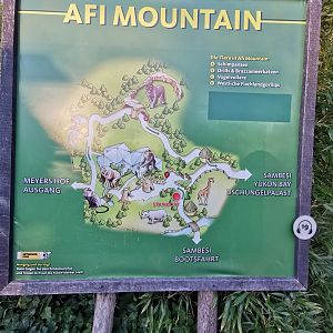 Map over Afi Mountain