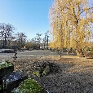 Mixed african animals - "Afrika Sambesi"