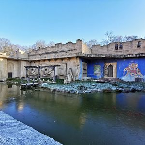 Northern plains gray langur enclosure - "Indischen Dschungelpalast"