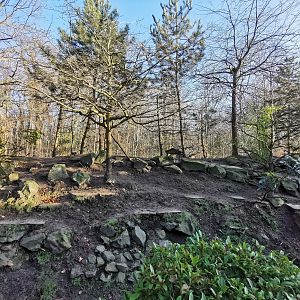 Reeves's muntjac & Red panda enclosure - "Indischen Dschungelpalast"