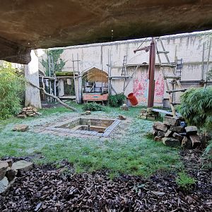 Amur leopard enclosure - "Indischen Dschungelpalast"