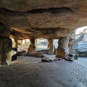 Gorilla outdoors - Afi Mountain