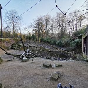 Walk-through African Aviary - Afi Mountain