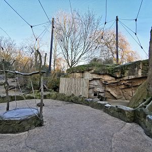 Walk-through African Aviary - Afi Mountain