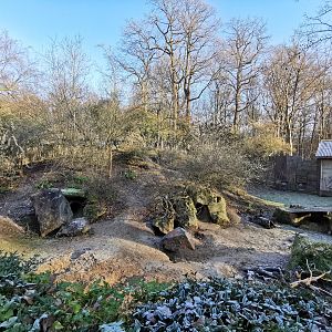 Common wombat enclosure - "Australian Outback"