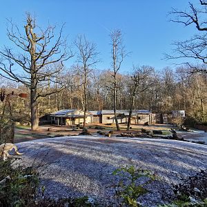 Mixed species enclosure - "Australian Outback"