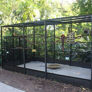 Tropical Bird Aviary
