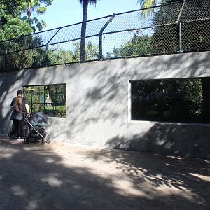 Black Bear Exhibit