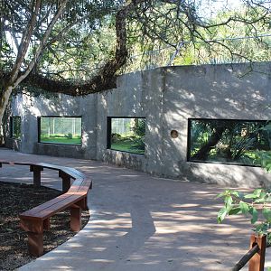 Florida Panther Exhibit