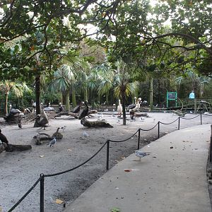 Wetlands Aviary