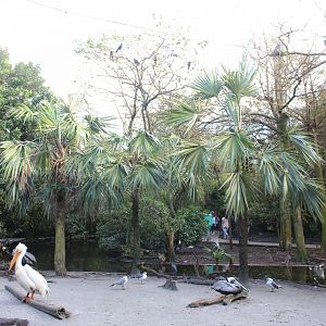 Wetlands Aviary