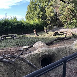 Warthog exhibit
