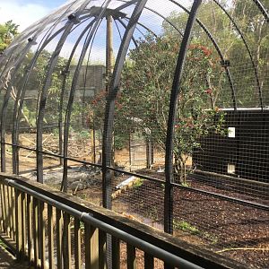 New South American Aviary (Opening Summer 2020)