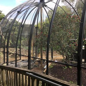 New South American Aviary (Opening Summer 2020)