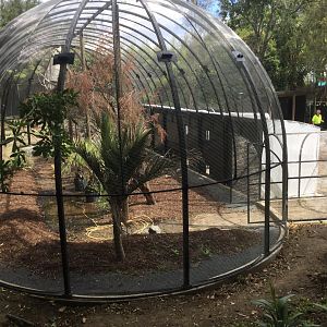 New South American Aviary (Opening Summer 2020)