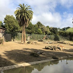 African veldt exhibit