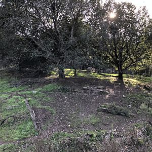 Part of the wolf exhibit