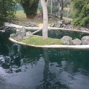 Sumatran Tiger Exhibit (Main Exhibit)