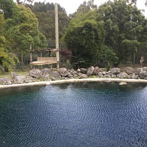 Sumatran Tiger Exhibit (Main Exhibit)
