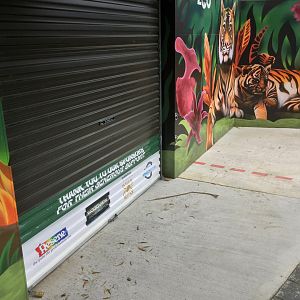 Sumatran Tiger Exhibit (Encounter Area)