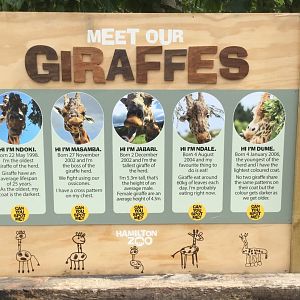 New Giraffe Signage