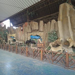 Stuffed Animal Display