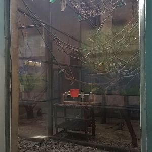 Primate Indoor Exhibit