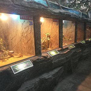 Reptile House Terraria