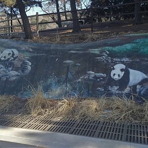 Giant Panda Rock Mural