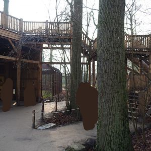 Barbary macaque observation areas, 2019-12-28