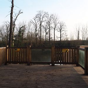 Barbary macaque observation deck, 2019-12-28