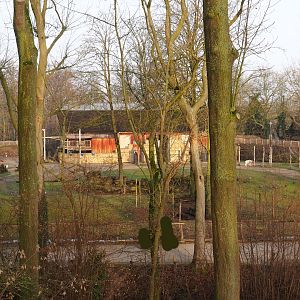 Kordofan giraffe, addax, common impala and helmeted guineafowl paddock seen from Barbary macaque observation deck, 2019-12-28